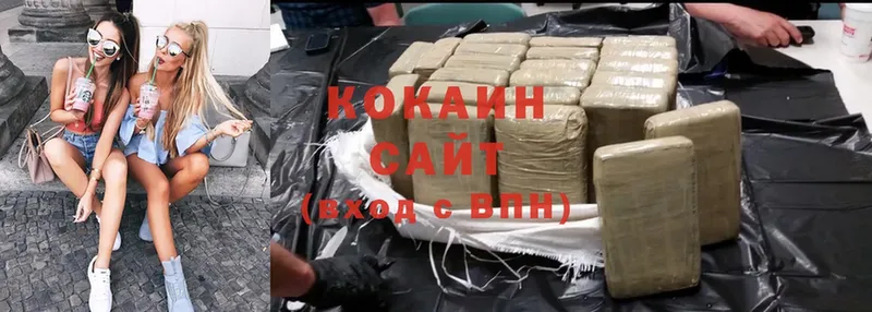 где купить наркотик  Ряжск  MEGA онион  Cocaine FishScale 